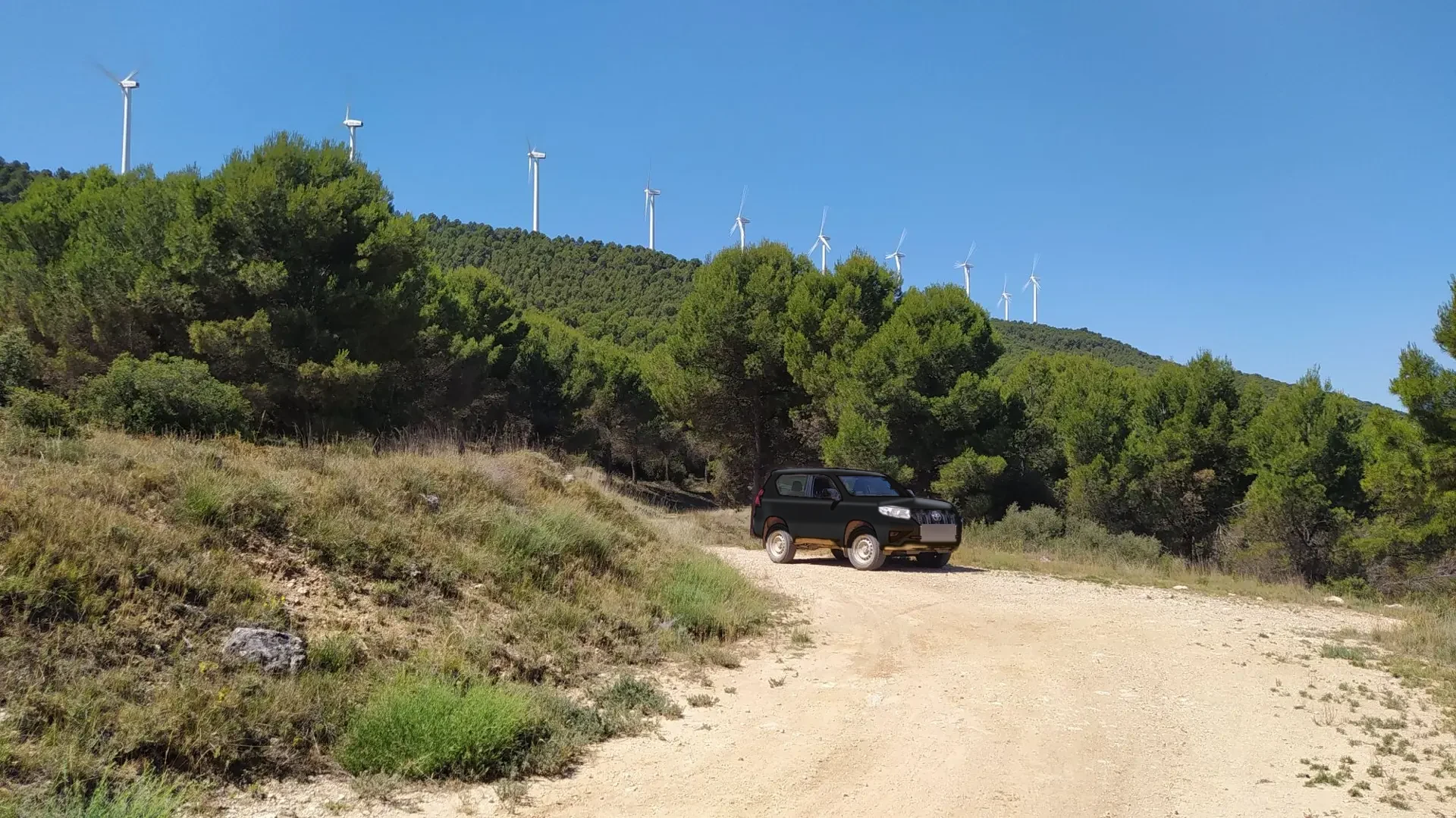 Todoterreno negro en una pista forestal entre pinares
